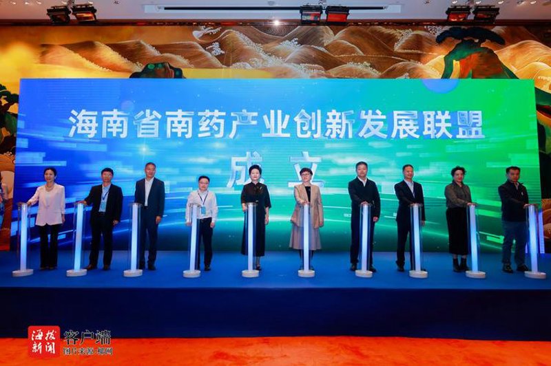 中医网站建设案例分析